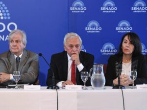 Sigue la tensión por los pliegos del Senado: cruces y acusaciones en la audiencia del juez que le levantó el freno a la Reforma Laboral